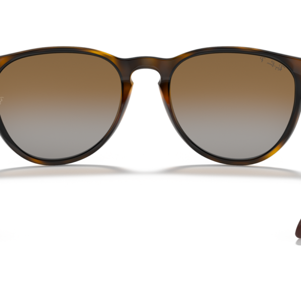 ray-ban-erika-rb4171-carey