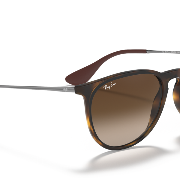 ray-ban-erika-rb4171-carey-2
